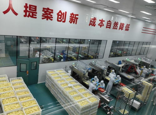 內蒙古草原紅牛奶酪工廠建設加速，2026年投產將創造1.5億元年產值